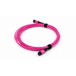 MPO/MPO Multimode OM4 Fiber...