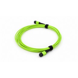 MPO/MPO Multimode OM5 Fiber...